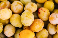 Prugne gialle fresche Frutti maturi in una scatola di legno nel giardino di estate fotografia stock Prugne gialle fresche Frutti maturi in una scatola di legno nel giardino di estate fotografia stock