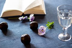 Prunes, fleurs, un livre et un verre de l'eau sur un fond bleu images libres de droits Prunes, fleurs, un livre et un verre de l'eau sur un fond bleu images libres de droits