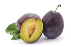 Prunes mûres image libre de droits Prunes mûres image libre de droits