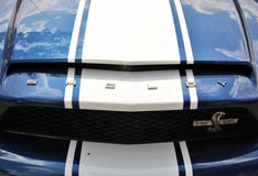 Przód Shelby GT 500 Super wąż zdjęcia stock Przód Shelby GT 500 Super wąż zdjęcia stock
