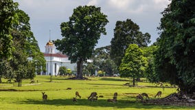 Präsidentenpalast der Republik Indonesien in Bogor, West lizenzfreie stockbilder Präsidentenpalast der Republik Indonesien in Bogor, West lizenzfreie stockbilder