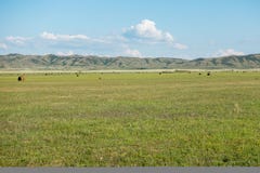 Pré de fenaison avec le fond des montagnes Région est de Kazakhstan Images libres de droits Pré de fenaison avec le fond des montagnes Région est de Kazakhstan Images libres de droits