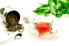 Préparation d'un tisane de fines herbes photographie stock Préparation d'un tisane de fines herbes photographie stock