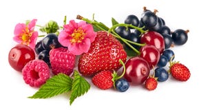 Préparation de baie avec la framboise et la groseille de fraise image stock Préparation de baie avec la framboise et la groseille de fraise image stock
