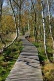Préservation de la nature Soos près de la petite ville de Bohème occidentale Frantiskovy Lazne Franzensbad de station thermale en Images libres de droits Préservation de la nature Soos près de la petite ville de Bohème occidentale Frantiskovy Lazne Franzensbad de station thermale en Images libres de droits