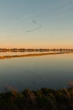 Ptaki w formacji z swój odbiciem na wodzie w Albufera lagunie w Naturalnym parku Albufera, Walencja, Hiszpania obrazy royalty free Ptaki w formacji z swój odbiciem na wodzie w Albufera lagunie w Naturalnym parku Albufera, Walencja, Hiszpania obrazy royalty free