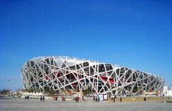 ptaków porcelanowy obywatela gniazdeczka stadium fotografia stock ptaków porcelanowy obywatela gniazdeczka stadium fotografia stock