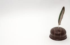 Ptasi piórko na białym tle w czekoladzie odizolowywa zakończenie w górę zdjęcie royalty free Ptasi piórko na białym tle w czekoladzie odizolowywa zakończenie w górę zdjęcie royalty free
