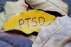 PTSD written on leaf stock image PTSD written on leaf stock image