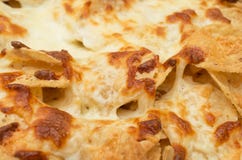 Puces de tortilla photo libre de droits Puces de tortilla photo libre de droits