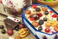 Pudding med havremjölet och den svarta vinbäret Sommarfriskhet av ny frukt sund snacking royaltyfria foton Pudding med havremjölet och den svarta vinbäret Sommarfriskhet av ny frukt sund snacking royaltyfria foton
