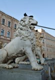 Puente de St Petersburg, adornado con las esculturas de leones en sus cabezas con las palomas en St Petersburg fotografía de archivo libre de regalías Puente de St Petersburg, adornado con las esculturas de leones en sus cabezas con las palomas en St Petersburg fotografía de archivo libre de regalías