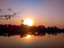Puesta del sol de igualación hermosa con el árbol fotos de archivo libres de regalías Puesta del sol de igualación hermosa con el árbol fotos de archivo libres de regalías