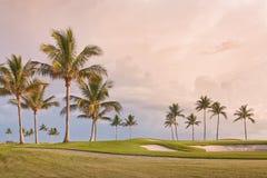 Puesta del sol del campo de golf con las palmeras tropicales imágenes de archivo libres de regalías Puesta del sol del campo de golf con las palmeras tropicales imágenes de archivo libres de regalías