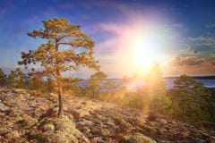puesta del sol del verano en montañas Fotografía de archivo puesta del sol del verano en montañas Fotografía de archivo