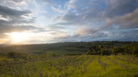 Puesta del sol Paisaje de Toscana: colinas, cortijos, olivos, cipreses, vi?edos Las colinas de Chianti al sur de Florencia fotografía de archivo libre de regalías Puesta del sol Paisaje de Toscana: colinas, cortijos, olivos, cipreses, vi?edos Las colinas de Chianti al sur de Florencia fotografía de archivo libre de regalías