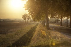 Puesta del sol a través del camino - Toscana Imágenes de archivo libres de regalías Puesta del sol a través del camino - Toscana Imágenes de archivo libres de regalías