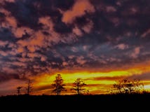 Puesta del sol y pantanos adentro fotografía de archivo Puesta del sol y pantanos adentro fotografía de archivo