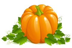 Pumpkin Stock Photos - Image: 17854123