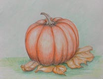 Pumpkin Stock Image