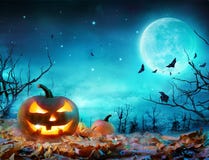 Pumpkin Glowing At Moonlight In The Spooky Forest stock photography Pumpkin Glowing At Moonlight In The Spooky Forest stock photography
