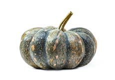 Pumpkin isolated on white background Royalty Free Stock Images Pumpkin isolated on white background Royalty Free Stock Images