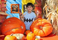 Pumpkin patch farm royalty free stock photo Pumpkin patch farm royalty free stock photo