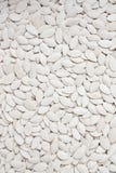 Pumpkin Seeds Royalty Free Stock Image Pumpkin Seeds Royalty Free Stock Image