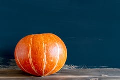 Pumpkin for use in the Halloween holiday closeup royalty free stock image Pumpkin for use in the Halloween holiday closeup royalty free stock image