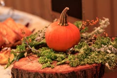 Pumpkin and vegetables as decoration on a tree stump in the rest royalty free stock photography Pumpkin and vegetables as decoration on a tree stump in the rest royalty free stock photography