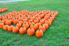 Pumpkins Stock Photography