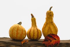 Pumpkins, apples and autumn leaves royalty free stock images Pumpkins, apples and autumn leaves royalty free stock images