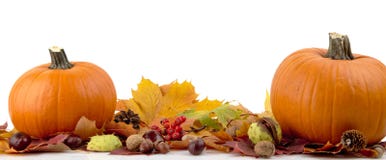 Pumpkins with autumn leaves for thanksgiving day on white background