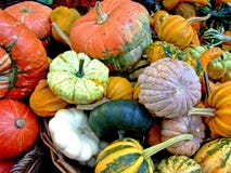 Pumpkins Background Stock Image Pumpkins Background Stock Image