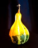 Pumpkins for Halloween with funny friends who play with ghosts - stock illustration Pumpkins for Halloween with funny friends who play with ghosts - stock illustration