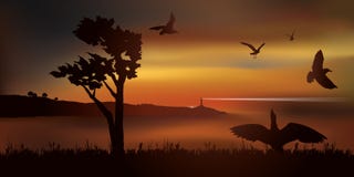 Punkt av sikten på en fjärd en solnedgång med ett flyg av seagulls stock illustrationer Punkt av sikten på en fjärd en solnedgång med ett flyg av seagulls stock illustrationer