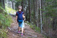 Punto di vista posteriore del ragazzo del bambino piccolo con lo zaino ed il bastone della viandante che attraversano da solo thr Fotografia Stock Libera da Diritti Punto di vista posteriore del ragazzo del bambino piccolo con lo zaino ed il bastone della viandante che attraversano da solo thr Fotografia Stock Libera da Diritti