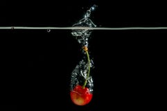 Cute akita illustration stock vector. Illustration of design - 73931550