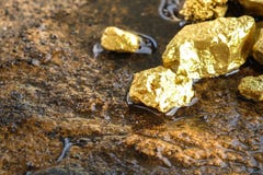 pure gold ore found in the mine