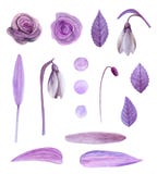 Purpere bloemenvector royalty-vrije illustratie Purpere bloemenvector royalty-vrije illustratie