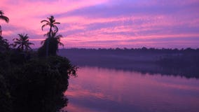 Purpere roze warme bewolkte avondzonsondergang over palm tropisch bos in kalm lagunemeer op eiland in de Binnenwateren van Kerala stock footage Purpere roze warme bewolkte avondzonsondergang over palm tropisch bos in kalm lagunemeer op eiland in de Binnenwateren van Kerala stock footage