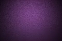 Purple Stock Photography Purple Stock Photography