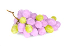Purple And Green Grapes Stock Images