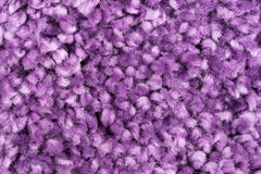 Purple Carpet Texture Purple Carpet Texture