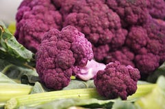 Purple Cauliflower 2 Stock Photography Purple Cauliflower 2 Stock Photography
