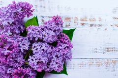 Purple lilac flowers on white wooden background. royalty free stock photos Purple lilac flowers on white wooden background. royalty free stock photos