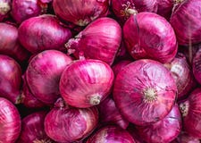 A bunch of purple onion bulbs royalty free stock image A bunch of purple onion bulbs royalty free stock image