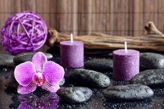 Purple orchid candles and zen stones spa concept