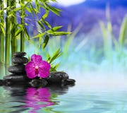 Purple Orchid, Stones And Bamboo On The Water Stock Images Purple Orchid, Stones And Bamboo On The Water Stock Images