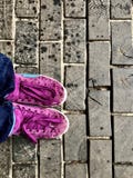 Purple sneakers on the background of the wooden pavement in Copenhagen, top view stock photography Purple sneakers on the background of the wooden pavement in Copenhagen, top view stock photography